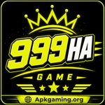 999HA Game