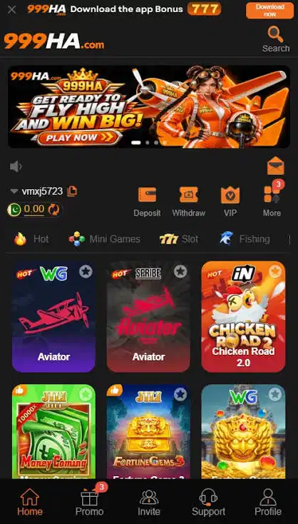 999HA Game