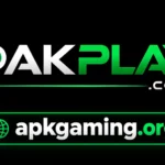 PAKPLAY Game