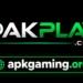 PAKPLAY Game