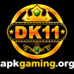 DK11 Game