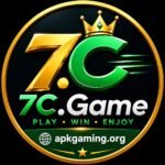 7C Game
