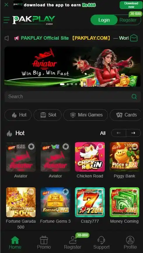 PAKPLAY Game 