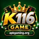 K116 Game
